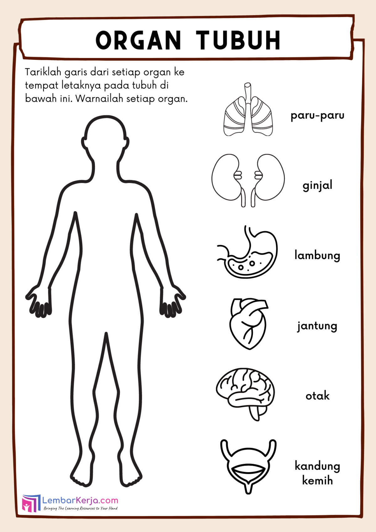 15 Contoh soal organ tubuh manusia sd kelas 4 yang sering muncul dan wajib diketahui
