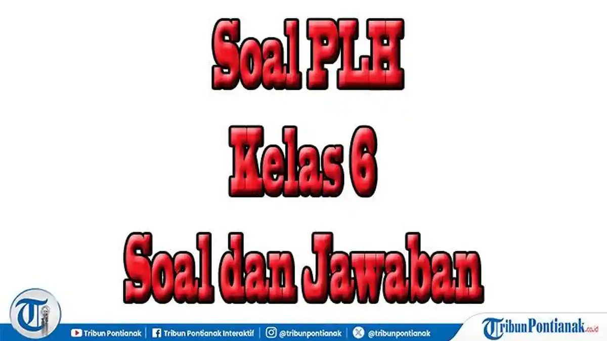 Akhirnya Terungkap 7 Soal Ujian Sekolah PLH Kelas 6 dan Kunci Jawaban yang Sering Keluar di STS 2026