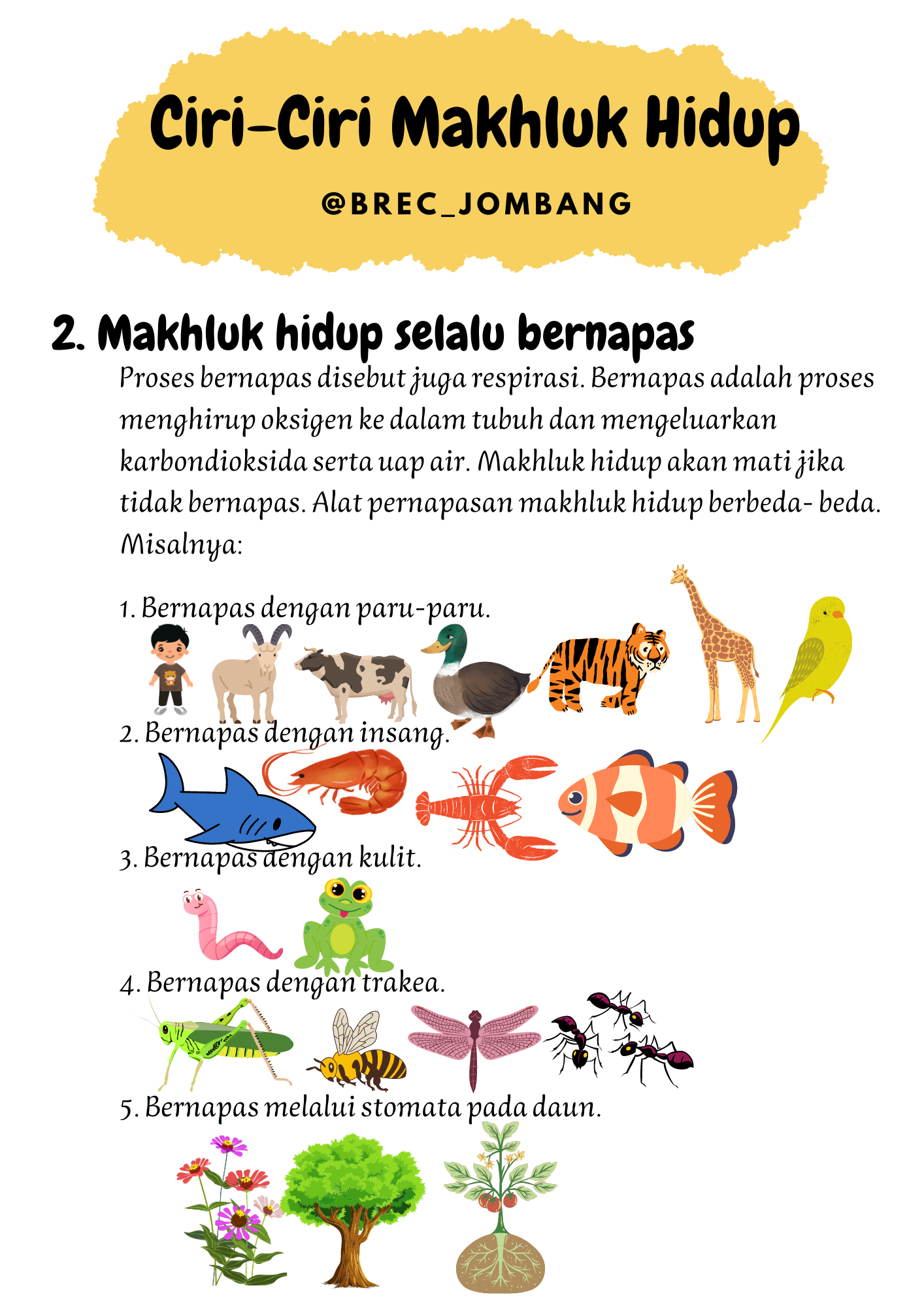 Materi IPAS Kelas 3 Ciri-Ciri Makhluk Hidup Artofit