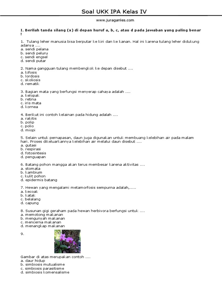 7 Rahasia Kertas Soal Ujian UKK Kelas 4 Berserta Jawaban yang Wajib Diketahui